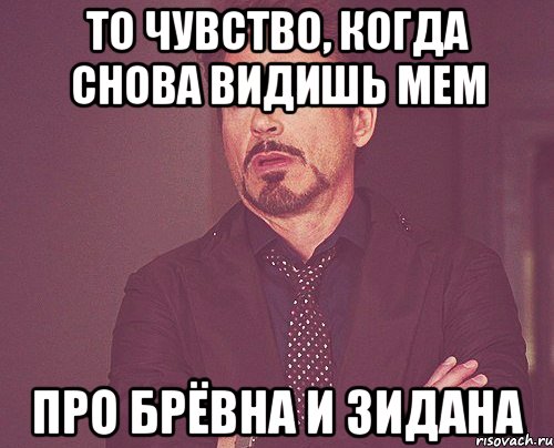 то чувство, когда снова видишь мем про брёвна и зидана, Мем твое выражение лица
