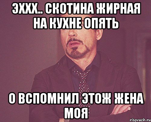 эххх.. скотина жирная на кухне опять о вспомнил этож жена моя, Мем твое выражение лица