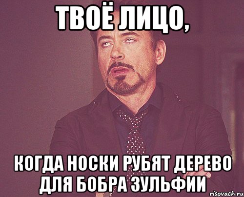 твоё лицо, когда носки рубят дерево для бобра зульфии, Мем твое выражение лица