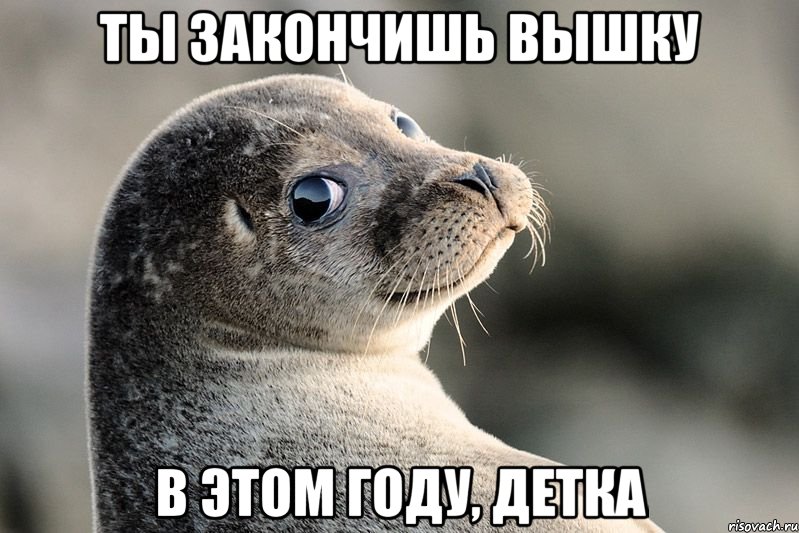 ты закончишь вышку в этом году, детка