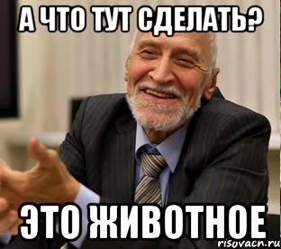 а что тут сделать? это животное