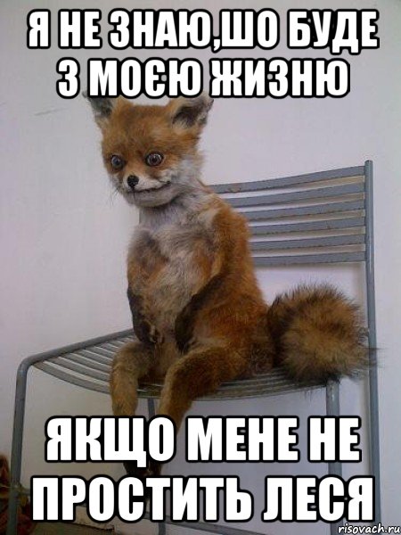 я не знаю,шо буде з моєю жизню якщо мене не простить леся, Мем Упоротая лиса