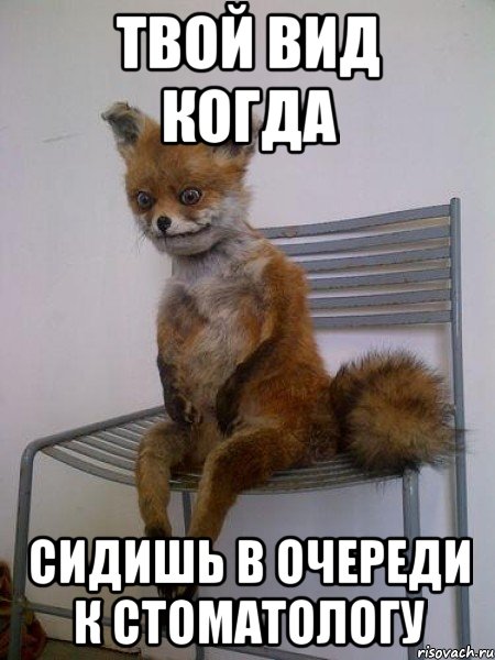 твой вид когда сидишь в очереди к стоматологу