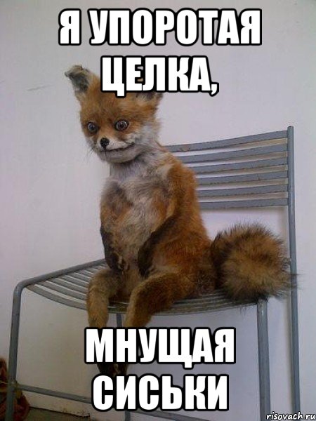 я упоротая целка, мнущая сиськи