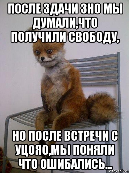 после здачи зно мы думали,что получили свободу, но после встречи с уцояо,мы поняли что ошибались...
