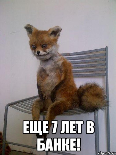 еще 7 лет в банке!