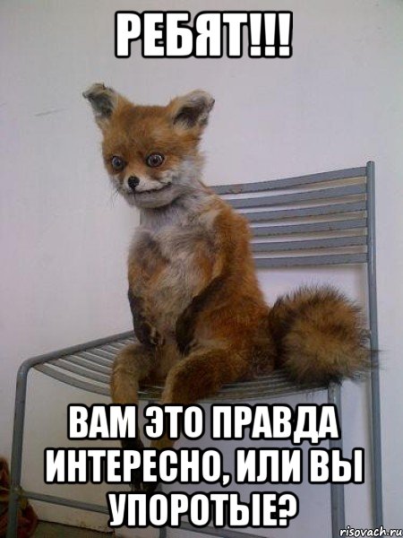 ребят!!! вам это правда интересно, или вы упоротые?
