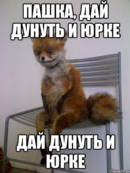 пашка, дай дунуть и юрке дай дунуть и юрке