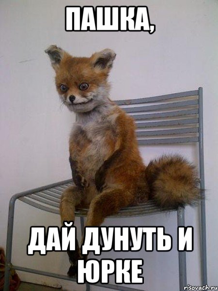 пашка, дай дунуть и юрке