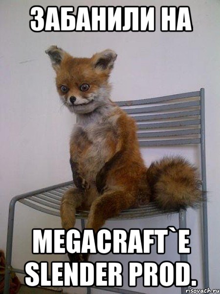 забанили на megacraft`e slender prod.