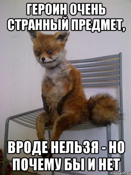 героин очень странный предмет, вроде нельзя - но почему бы и нет, Мем Упоротая лиса