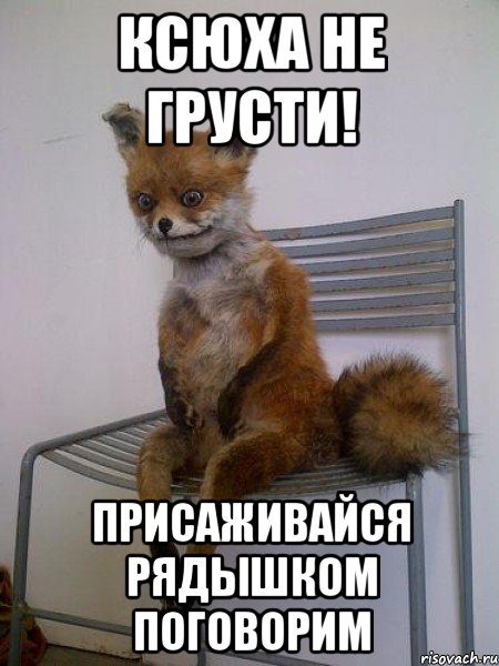 ксюха не грусти! присаживайся рядышком поговорим, Мем Упоротая лиса