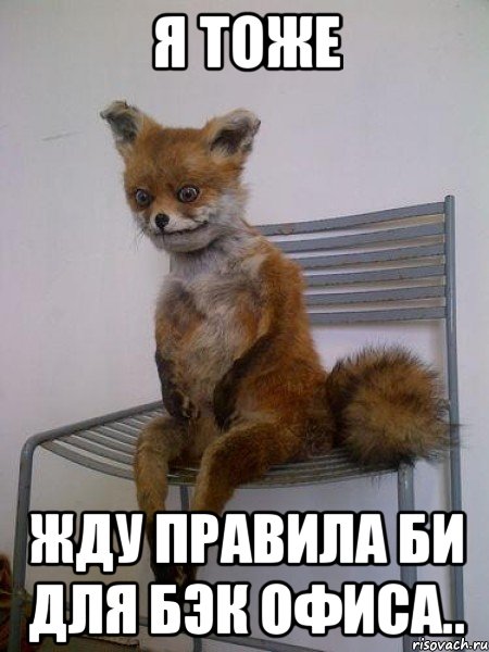 я тоже жду правила би для бэк офиса.., Мем Упоротая лиса