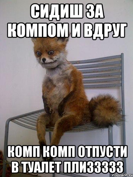сидиш за компом и вдруг комп комп отпусти в туалет плиззззз, Мем Упоротая лиса
