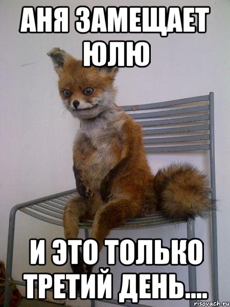 аня замещает юлю и это только третий день...., Мем Упоротая лиса