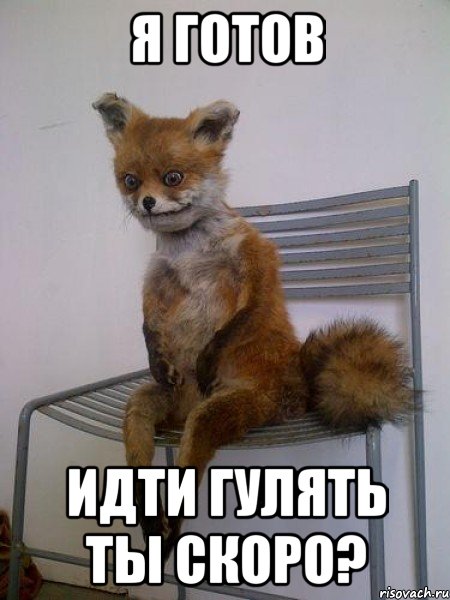 я готов идти гулять ты скоро?, Мем Упоротая лиса
