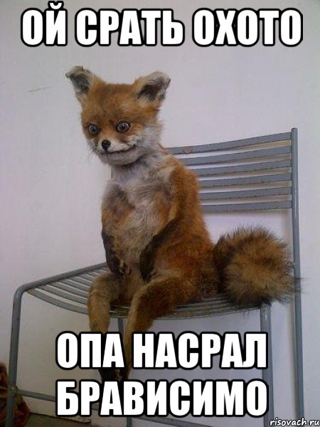 ой срать охото опа насрал брависимо, Мем Упоротая лиса