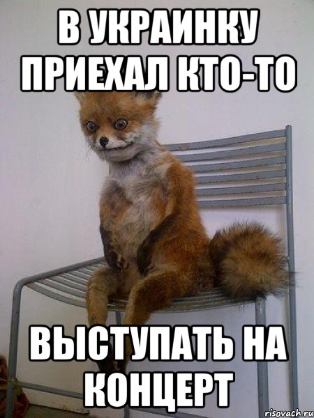 в украинку приехал кто-то выступать на концерт, Мем Упоротая лиса