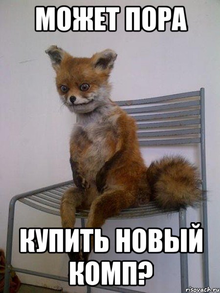 может пора купить новый комп?, Мем Упоротая лиса