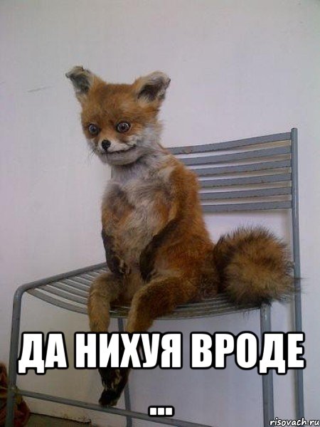  да нихуя вроде ..., Мем Упоротая лиса