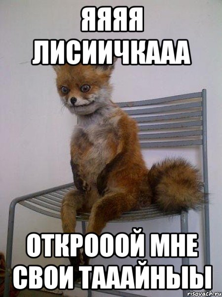 яяяя лисиичкааа открооой мне свои тааайныы, Мем Упоротая лиса