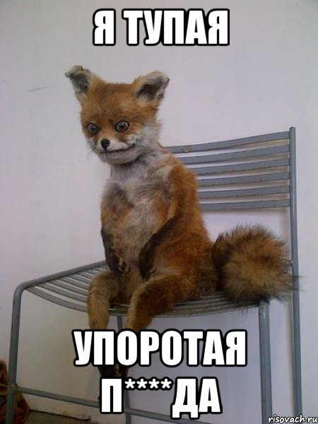я тупая упоротая п****да, Мем Упоротая лиса