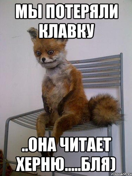 мы потеряли клавку ..она читает херню.....бля), Мем Упоротая лиса