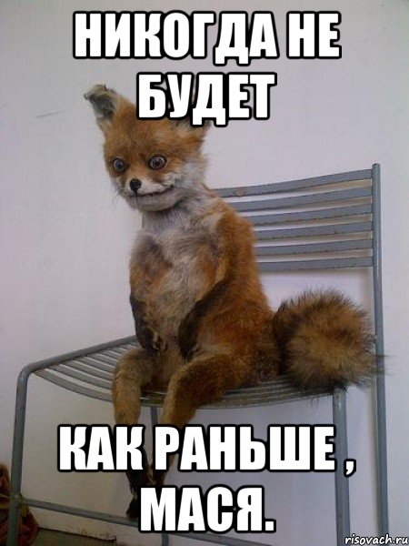 никогда не будет как раньше , мася., Мем Упоротая лиса