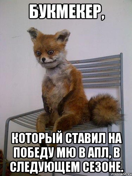 букмекер, который ставил на победу мю в апл, в следующем сезоне., Мем Упоротая лиса