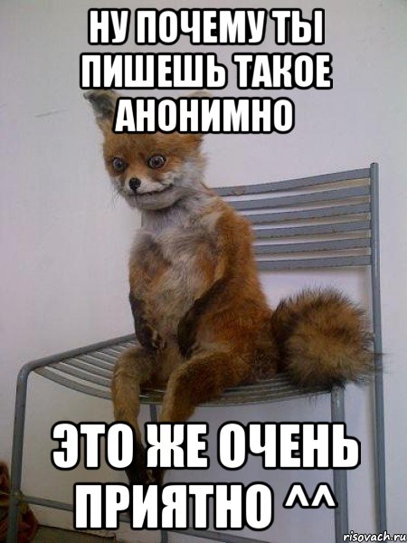 ну почему ты пишешь такое анонимно это же очень приятно ^^, Мем Упоротая лиса