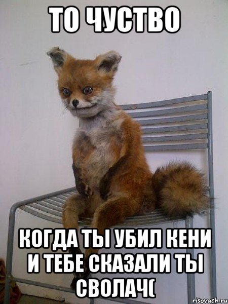 то чуство когда ты убил кени и тебе сказали ты сволач(, Мем Упоротая лиса