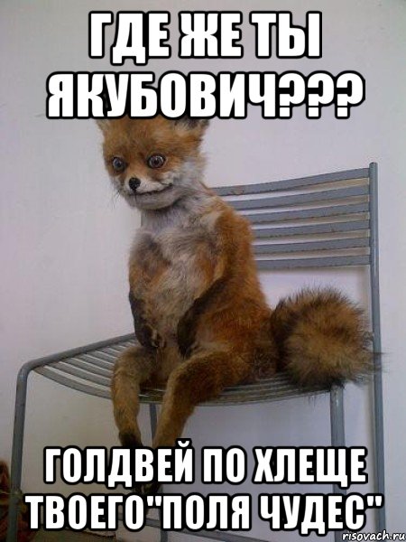 где же ты якубович??? голдвей по хлеще твоего"поля чудес", Мем Упоротая лиса