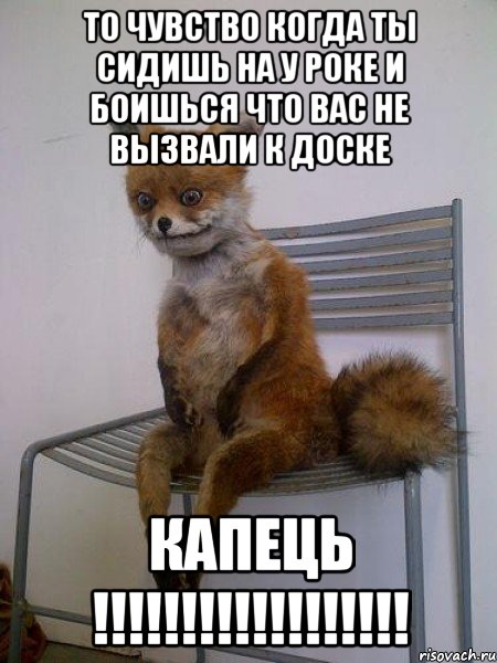 то чувство когда ты сидишь на у роке и боишься что вас не вызвали к доске капець !!!, Мем Упоротая лиса