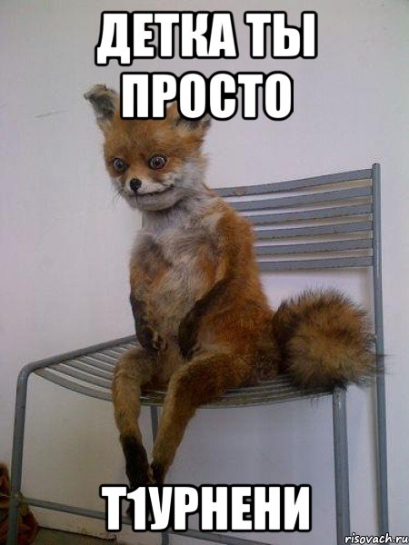 детка ты просто т1урнени, Мем Упоротая лиса