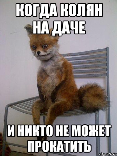 когда колян на даче и никто не может прокатить, Мем Упоротая лиса