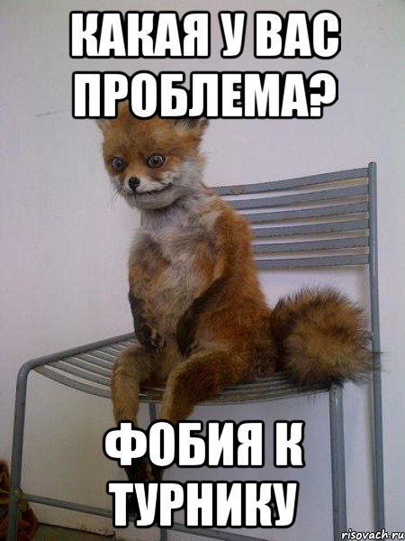 какая у вас проблема? фобия к турнику, Мем Упоротая лиса