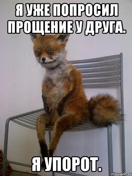 я уже попросил прощение у друга. я упорот., Мем Упоротая лиса