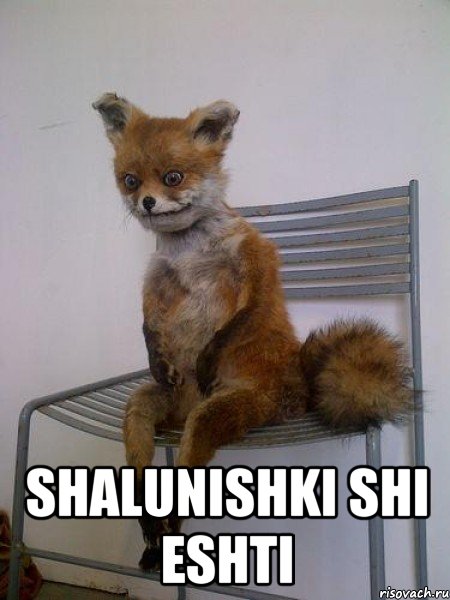  shalunishki shi eshti, Мем Упоротая лиса