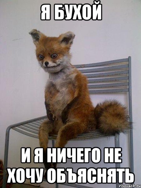 я бухой и я ничего не хочу объяснять, Мем Упоротая лиса