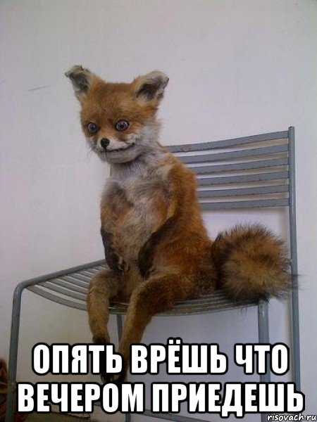  опять врёшь что вечером приедешь, Мем Упоротая лиса