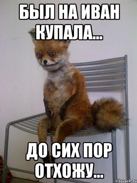 был на иван купала... до сих пор отхожу..., Мем Упоротая лиса