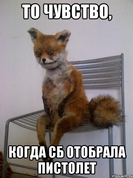 то чувство, когда сб отобрала пистолет, Мем Упоротая лиса