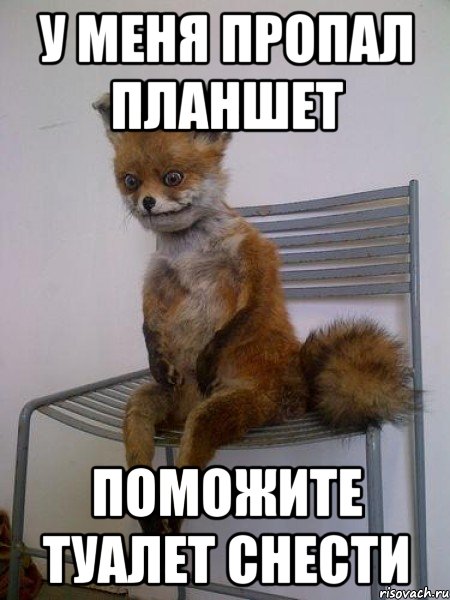 у меня пропал планшет поможите туалет снести, Мем Упоротая лиса
