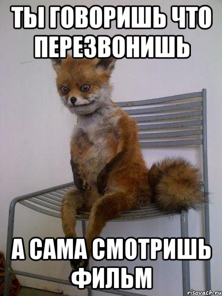 ты говоришь что перезвонишь а сама смотришь фильм, Мем Упоротая лиса