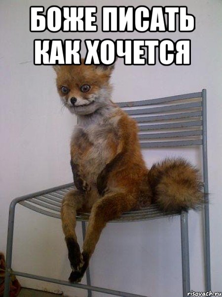 боже писать как хочется , Мем Упоротая лиса