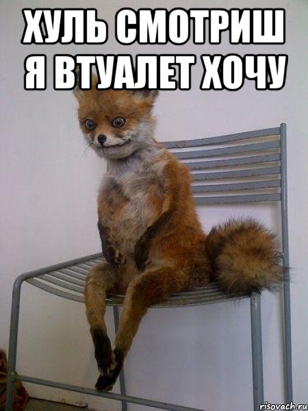 хуль смотриш я втуалет хочу , Мем Упоротая лиса