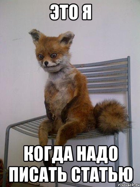 это я когда надо писать статью, Мем Упоротая лиса