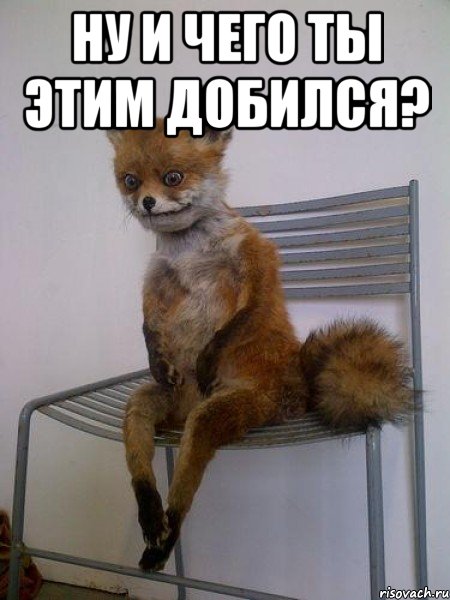 ну и чего ты этим добился? , Мем Упоротая лиса