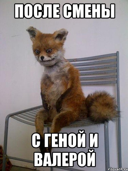 после смены с геной и валерой, Мем Упоротая лиса