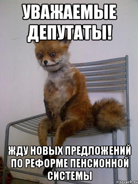 уважаемые депутаты! жду новых предложений по реформе пенсионной системы, Мем Упоротая лиса